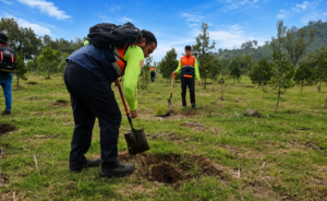 Iztapalapa plantará 20 mil árboles en el Cerro de la Estrella para recuperar 50 hectáreas del Huizachtépetl